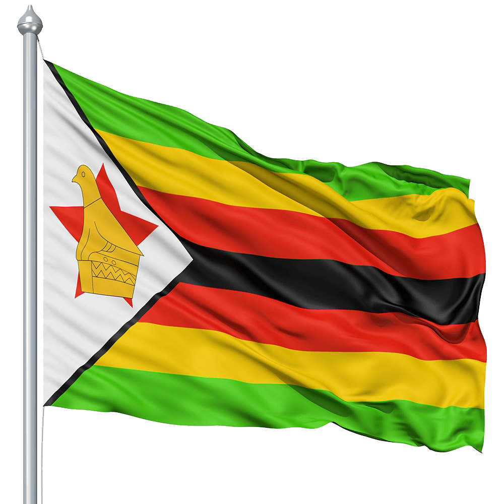 ZIMRA FDMS Logo